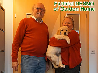 Golden Retriever Welpen of Golden Home F-Wurf/Woche8 und Besitzer