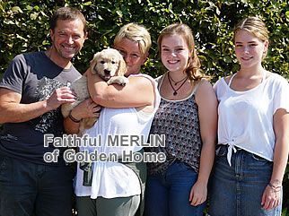 Golden Retriever Welpen of Golden Home F-Wurf/Woche8 und Besitzer