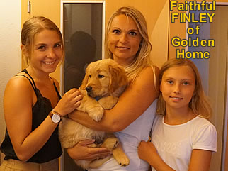 Golden Retriever Welpen of Golden Home F-Wurf/Woche8 und Besitzer