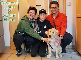 Golden Retriever Welpen of Golden Home G-Wurf/Besitzer