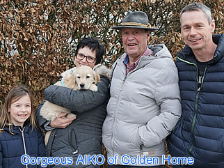 Golden Retriever Welpen of Golden Home G-Wurf/Besitzer