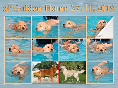 Welpen Gruppenfoto G2-Wurf