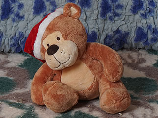 Golden Retriever Welpen of Golden Home H-Wurf/Woche6