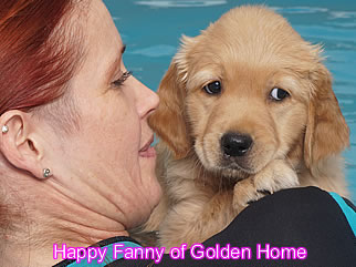 Golden Retriever Welpen of Golden Home H-Wurf/Woche7