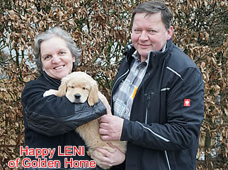 Golden Retriever Welpen of Golden Home H-Wurf/Besitzer
