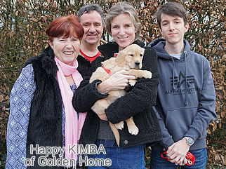 Golden Retriever Welpen of Golden Home H-Wurf/Besitzer