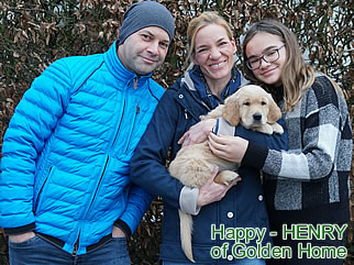 Golden Retriever Welpen of Golden Home G-Wurf/Besitzer