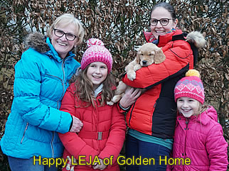 Golden Retriever Welpen of Golden Home H-Wurf/Besitzer